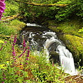 Peterson Falls