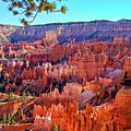 Bryce Canyon Overlook